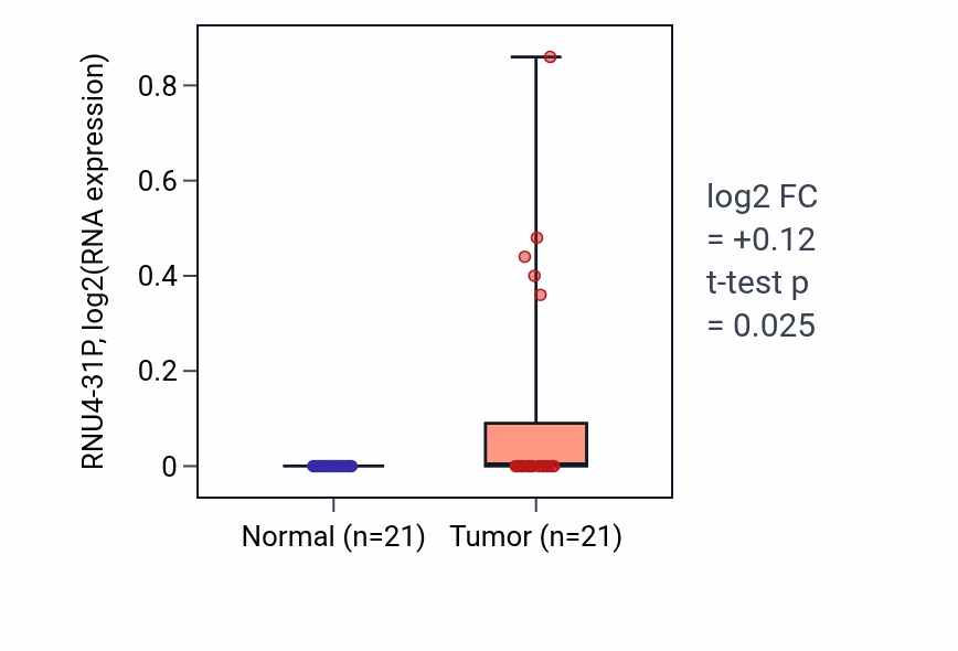 Tumor-vs-normal expression box plot for RNU4-31P in STAD.