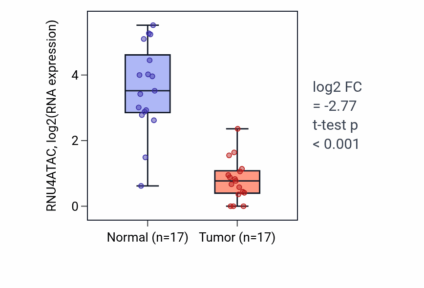 Tumor-vs-normal expression box plot for RNU4ATAC in THCA.