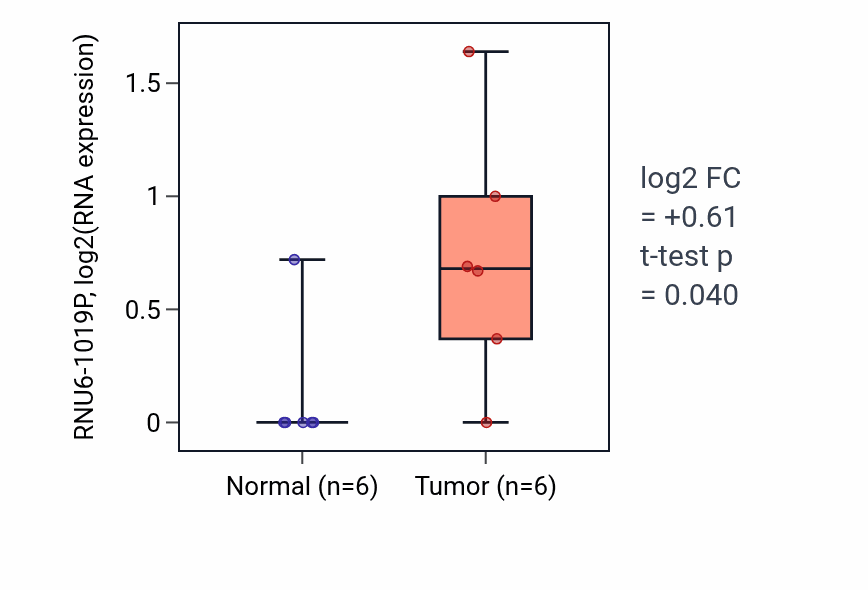 Tumor-vs-normal expression box plot for RNU6-1019P in LUSC.