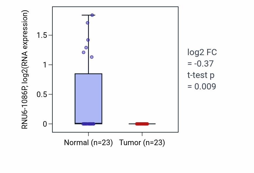 Tumor-vs-normal expression box plot for RNU6-1086P in UCEC.
