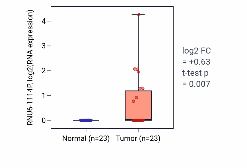 Tumor-vs-normal expression box plot for RNU6-1114P in UCEC.