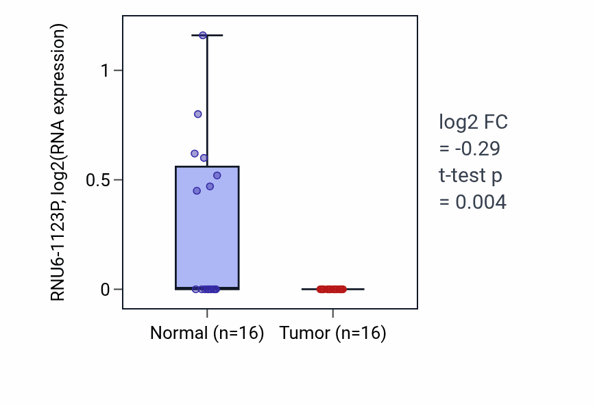 Tumor-vs-normal expression box plot for RNU6-1123P in HNSC.