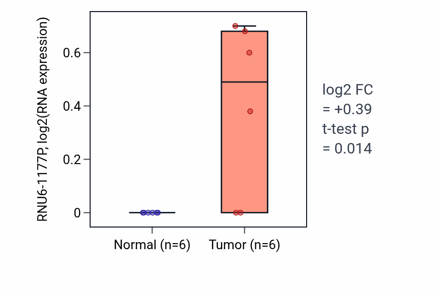 Tumor-vs-normal expression box plot for RNU6-1177P in LUSC.