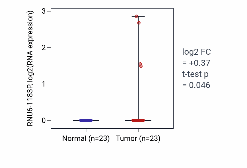 Tumor-vs-normal expression box plot for RNU6-1183P in UCEC.