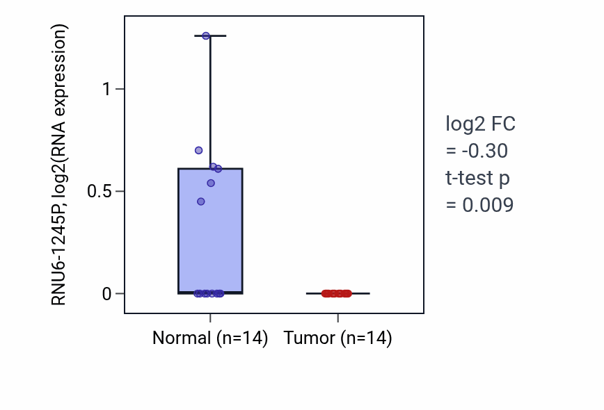 Tumor-vs-normal expression box plot for RNU6-1245P in LUSC.