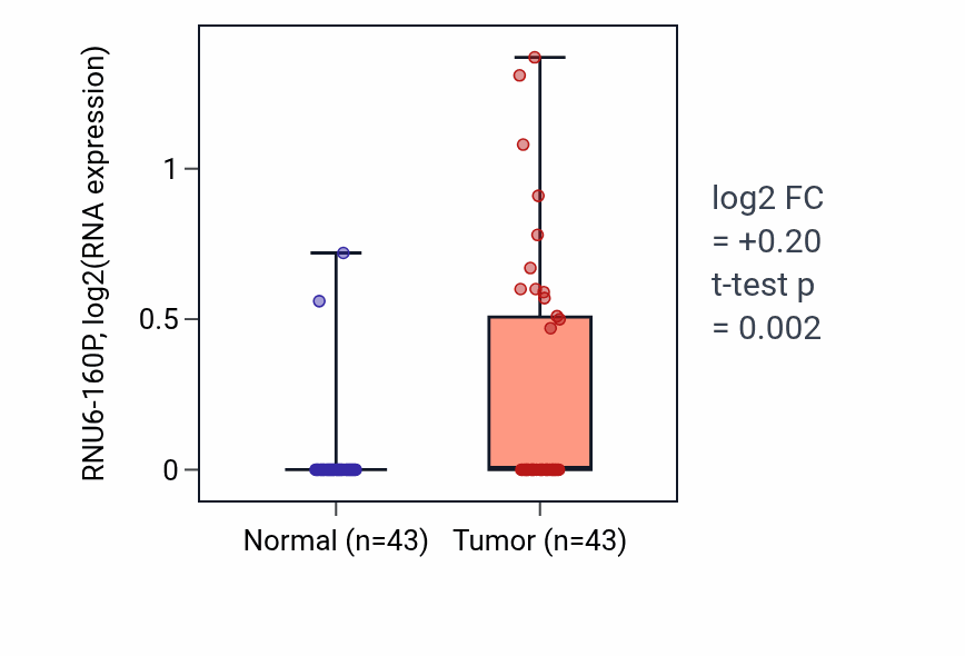 Tumor-vs-normal expression box plot for RNU6-160P in HNSC.