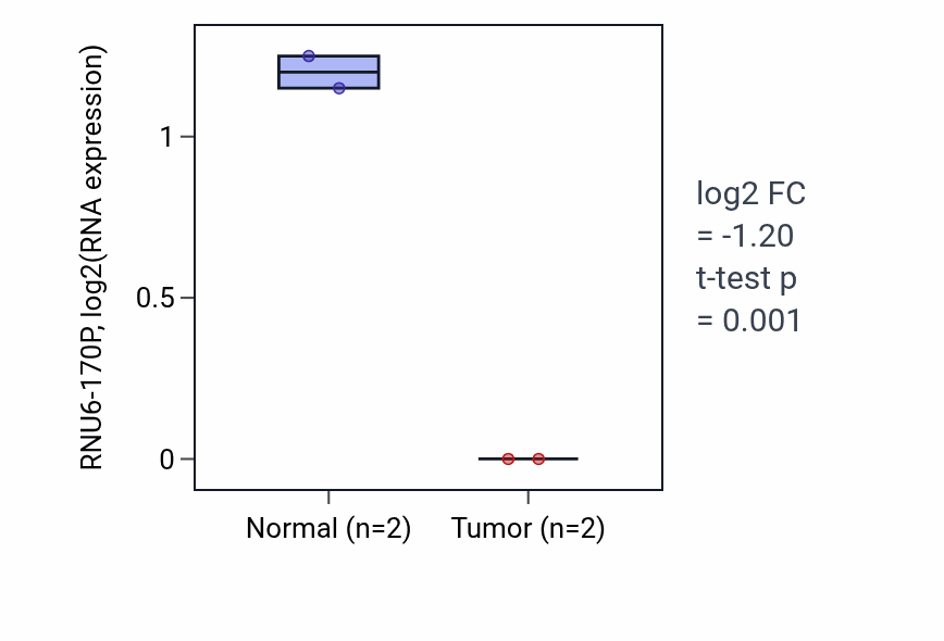 Tumor-vs-normal expression box plot for RNU6-170P in UCEC.