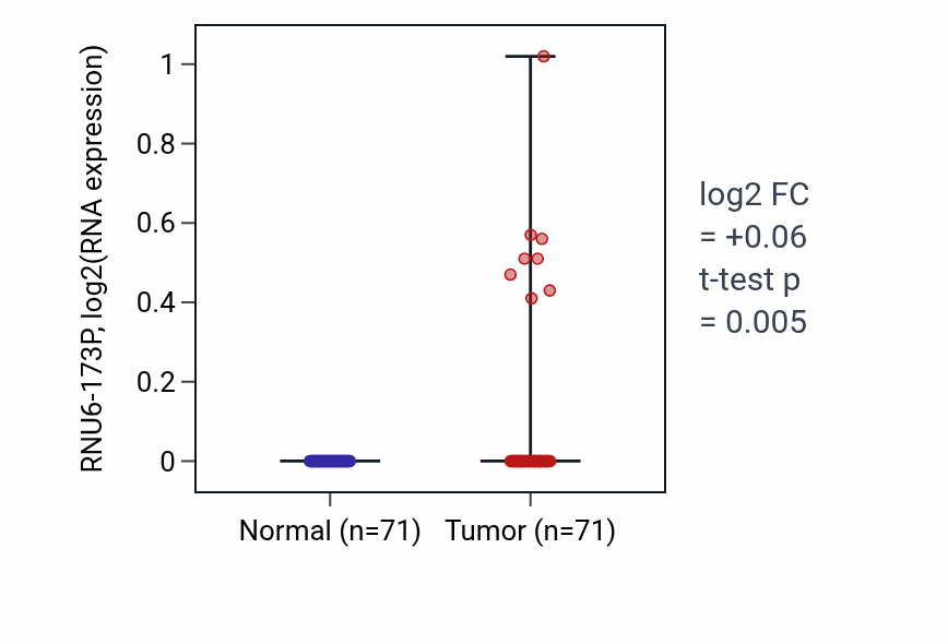 Tumor-vs-normal expression box plot for RNU6-173P in KIRC.
