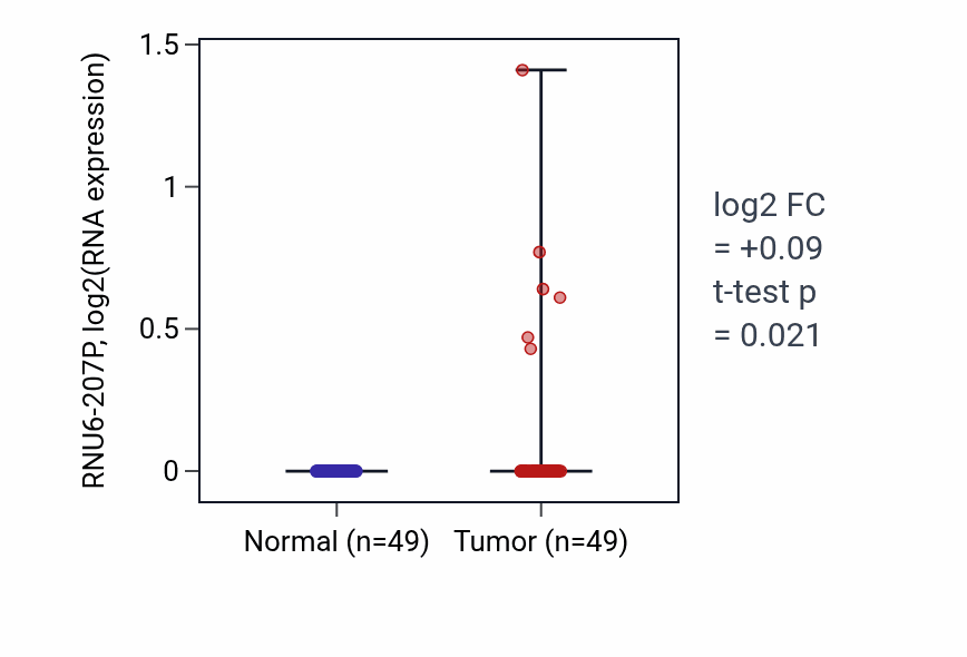 Tumor-vs-normal expression box plot for RNU6-207P in LUSC.