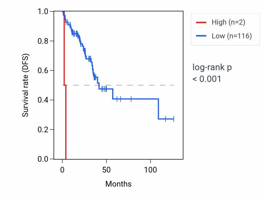 Kaplan&ndash;Meier survival curve for RNU6-211P RNA expression in READ: high vs low expression groups.