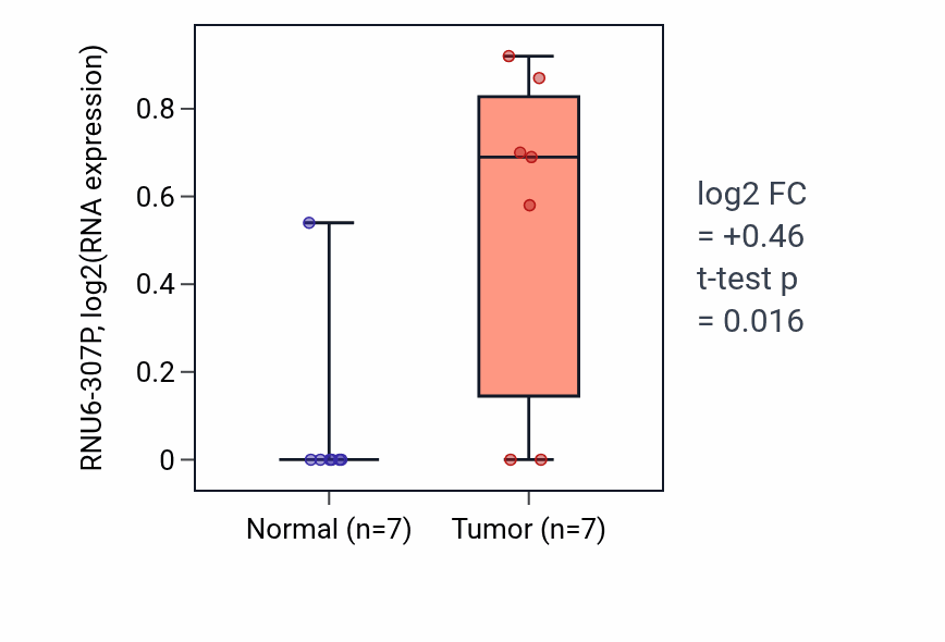 Tumor-vs-normal expression box plot for RNU6-307P in BLCA.
