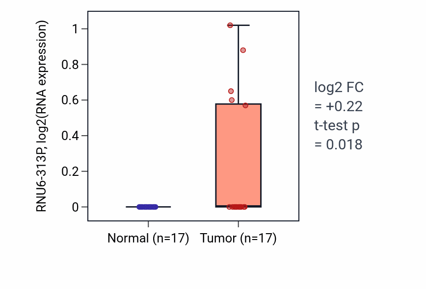 Tumor-vs-normal expression box plot for RNU6-313P in HNSC.