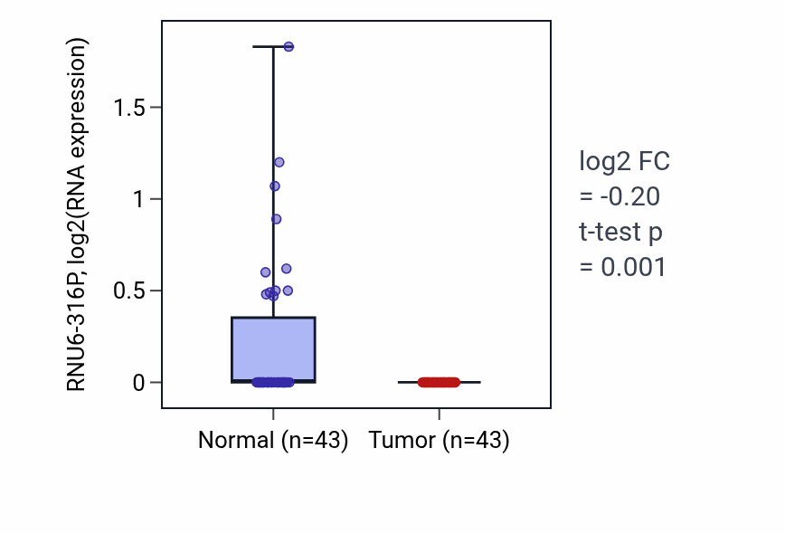 Tumor-vs-normal expression box plot for RNU6-316P in HNSC.