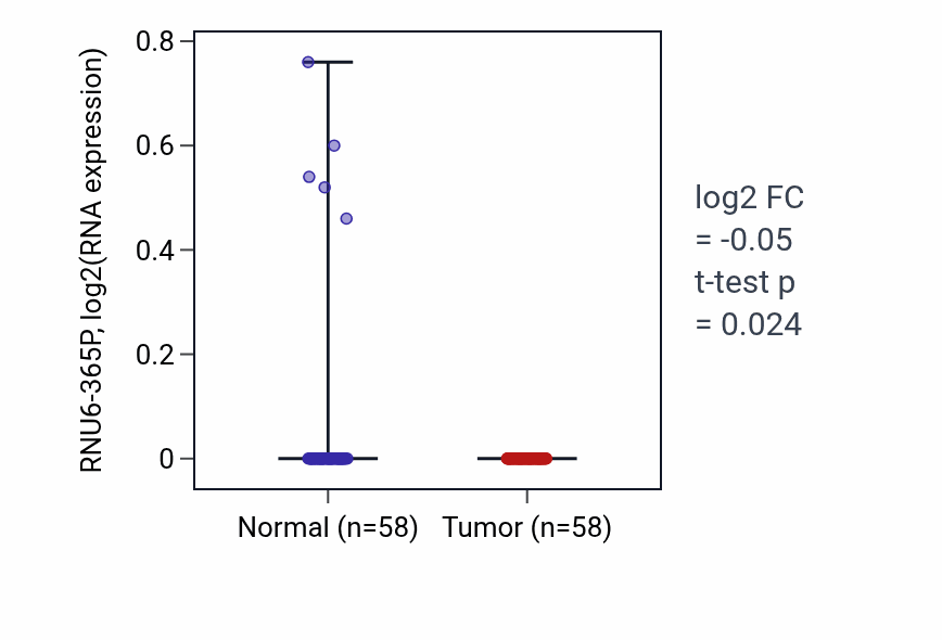 Tumor-vs-normal expression box plot for RNU6-365P in THCA.