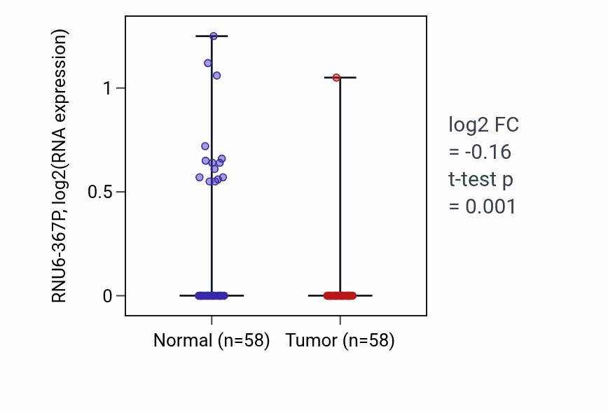 Tumor-vs-normal expression box plot for RNU6-367P in THCA.