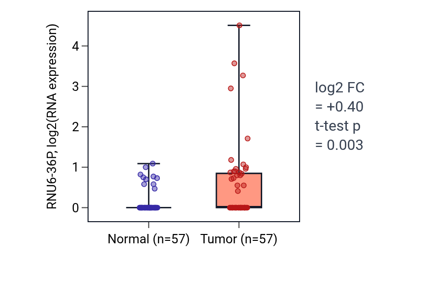 Tumor-vs-normal expression box plot for RNU6-36P in LUAD.