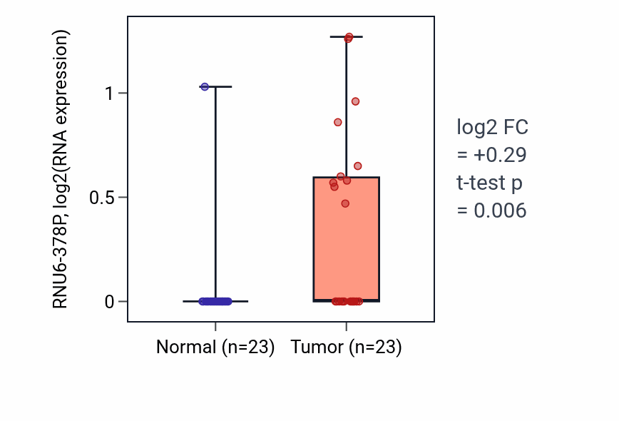 Tumor-vs-normal expression box plot for RNU6-378P in LUSC.