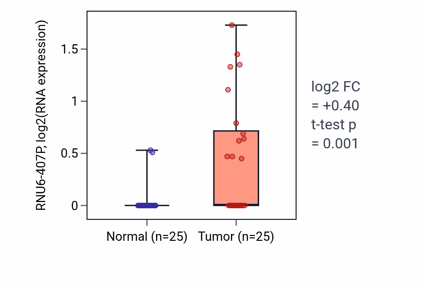 Tumor-vs-normal expression box plot for RNU6-407P in HNSC.