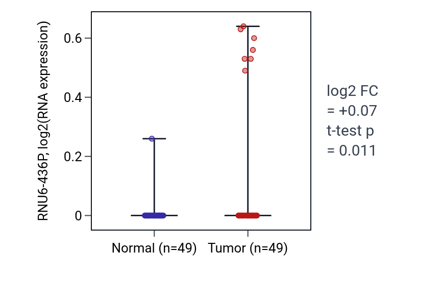Tumor-vs-normal expression box plot for RNU6-436P in LUSC.