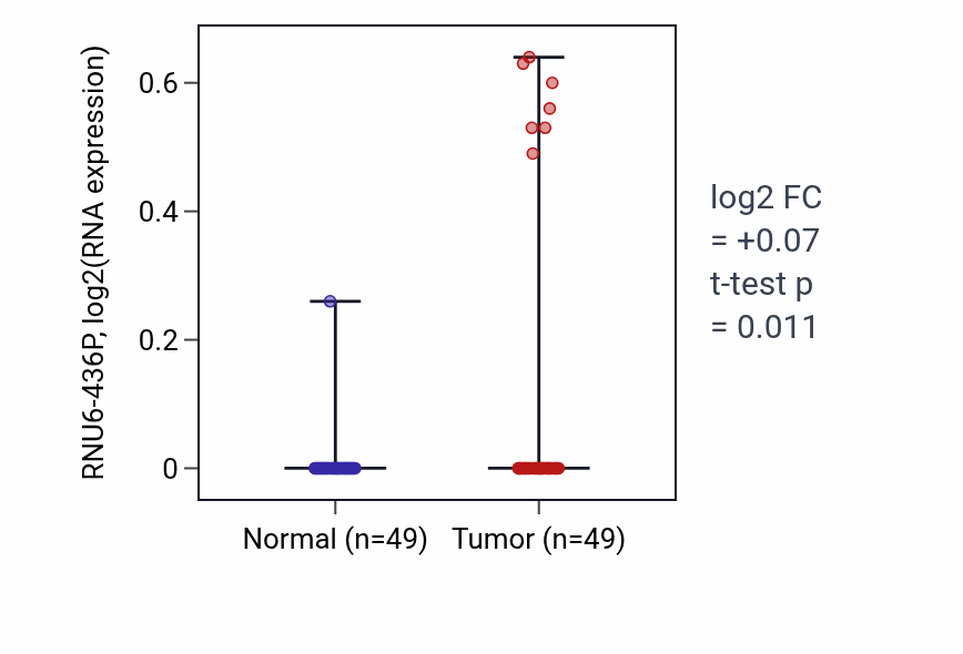 Tumor-vs-normal expression box plot for RNU6-436P RNA in LUSC.