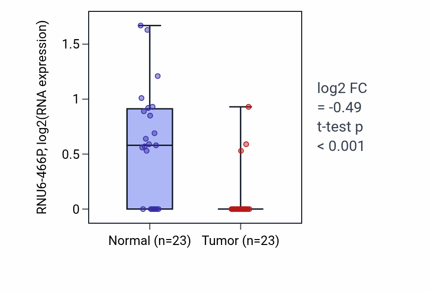 Tumor-vs-normal expression box plot for RNU6-466P in THCA.