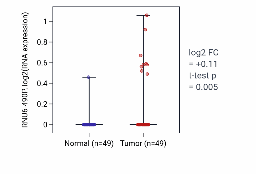 Tumor-vs-normal expression box plot for RNU6-490P in LUSC.