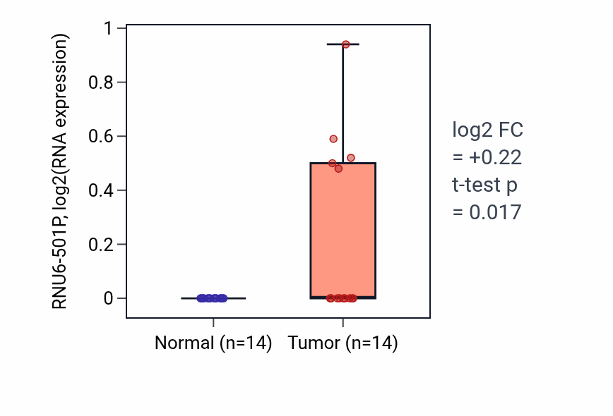 Tumor-vs-normal expression box plot for RNU6-501P in KIRC.
