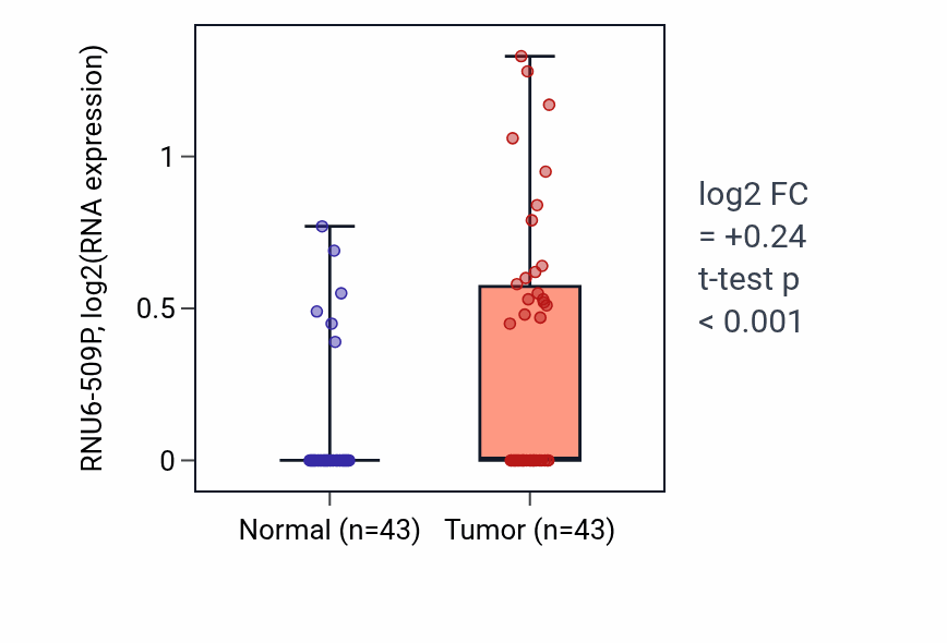 Tumor-vs-normal expression box plot for RNU6-509P in HNSC.