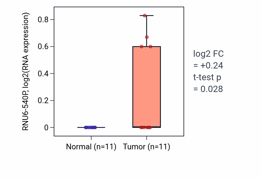 Tumor-vs-normal expression box plot for RNU6-540P in HNSC.
