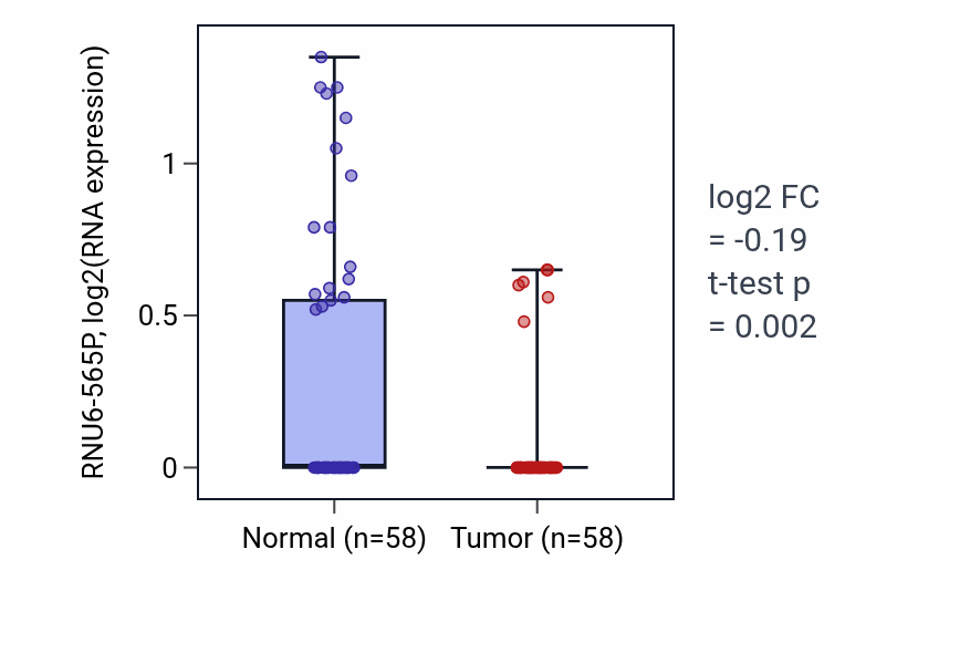 Tumor-vs-normal expression box plot for RNU6-565P in THCA.