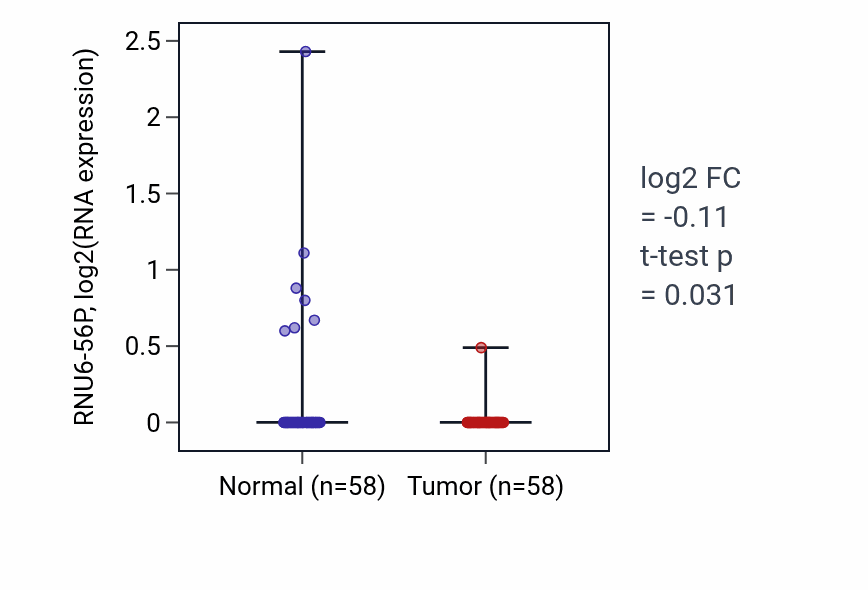 Tumor-vs-normal expression box plot for RNU6-56P in THCA.