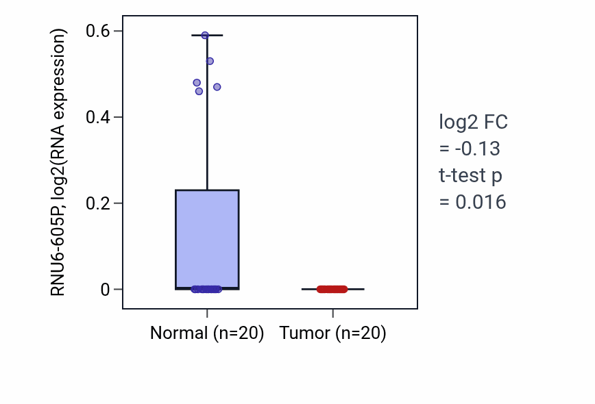 Tumor-vs-normal expression box plot for RNU6-605P in KIRC.