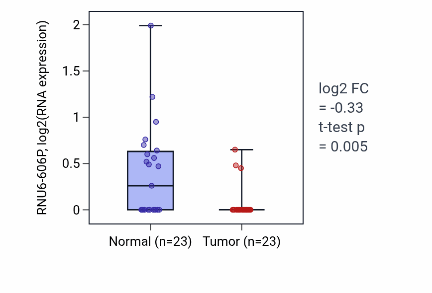 Tumor-vs-normal expression box plot for RNU6-606P in LUSC.