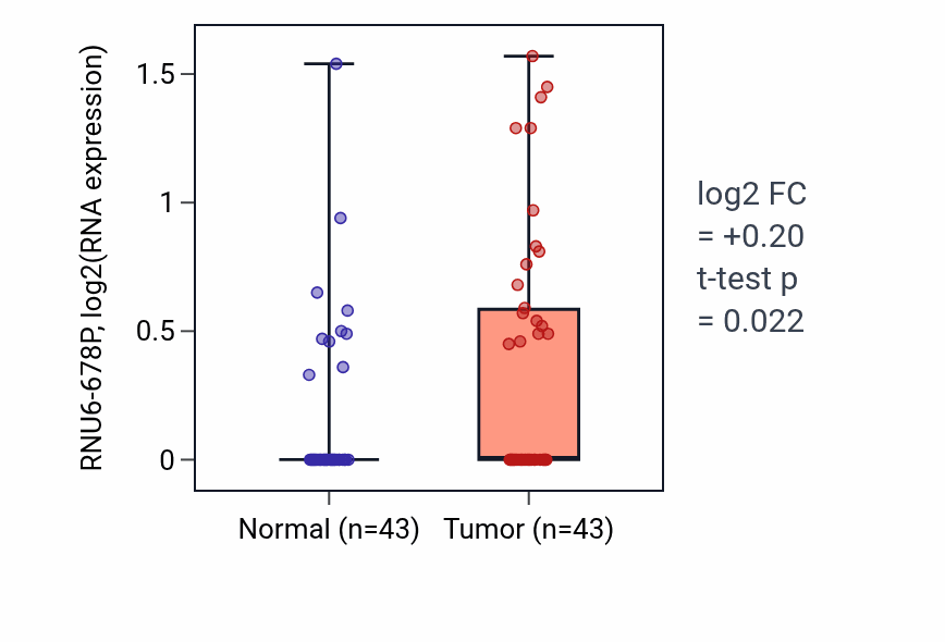 Tumor-vs-normal expression box plot for RNU6-678P in HNSC.