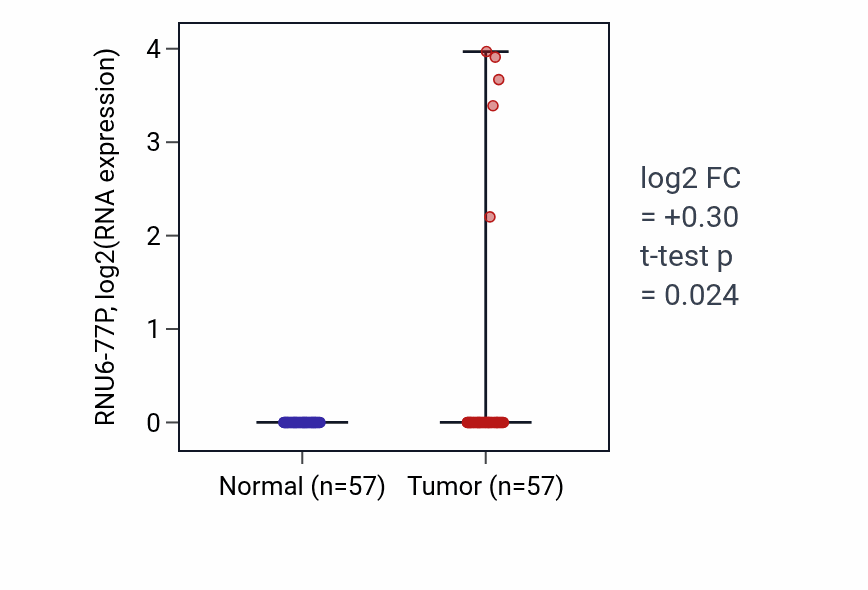 Tumor-vs-normal expression box plot for RNU6-77P in LUAD.