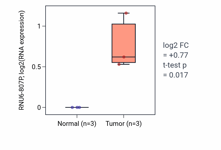 Tumor-vs-normal expression box plot for RNU6-807P in BLCA.