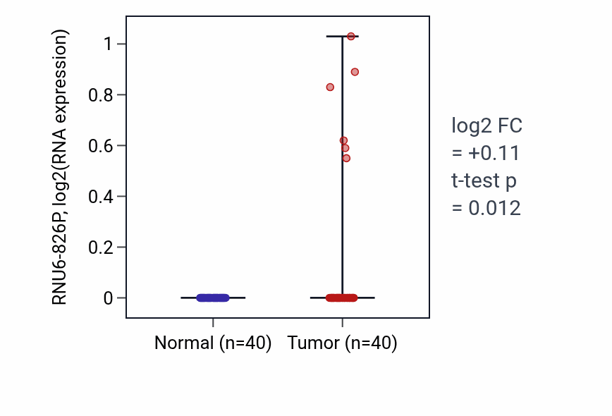 Tumor-vs-normal expression box plot for RNU6-826P in HNSC.