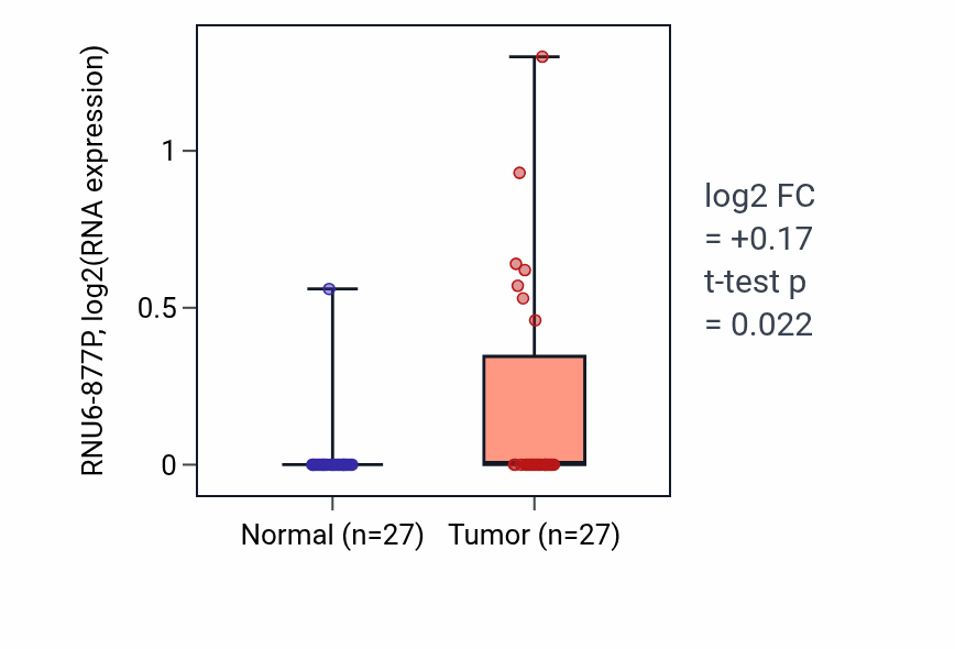 Tumor-vs-normal expression box plot for RNU6-877P in HNSC.