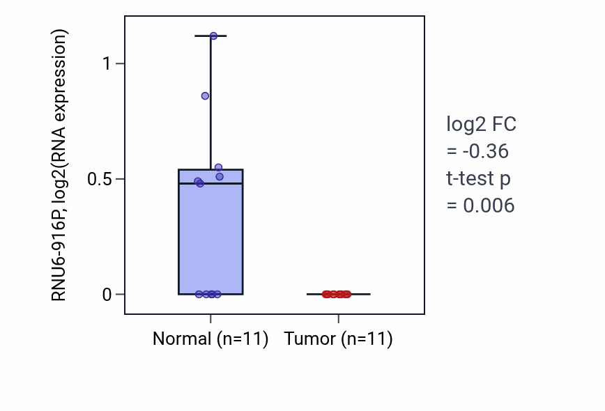 Tumor-vs-normal expression box plot for RNU6-916P in KICH.