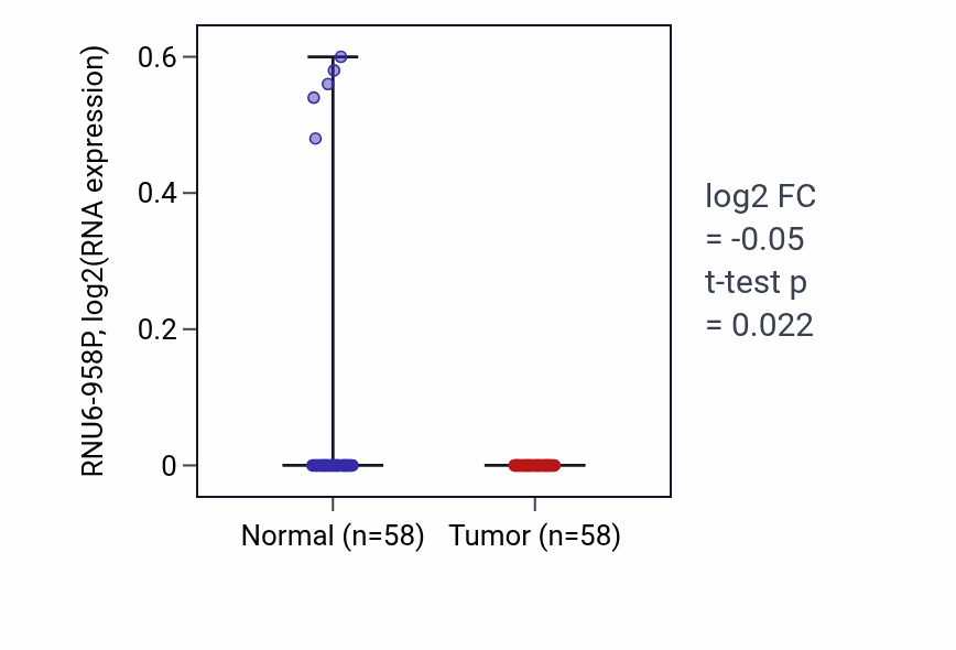 Tumor-vs-normal expression box plot for RNU6-958P in THCA.