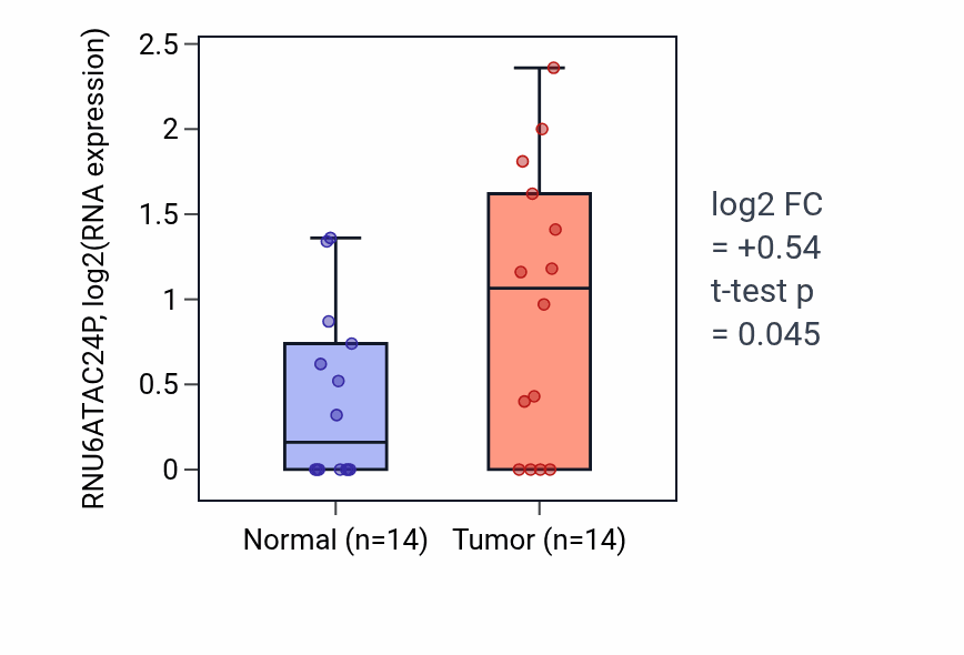 Tumor-vs-normal expression box plot for RNU6ATAC24P RNA in STAD.