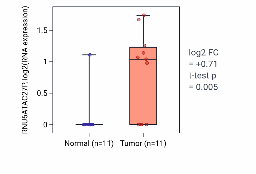 Tumor-vs-normal expression box plot for RNU6ATAC27P in UCEC.