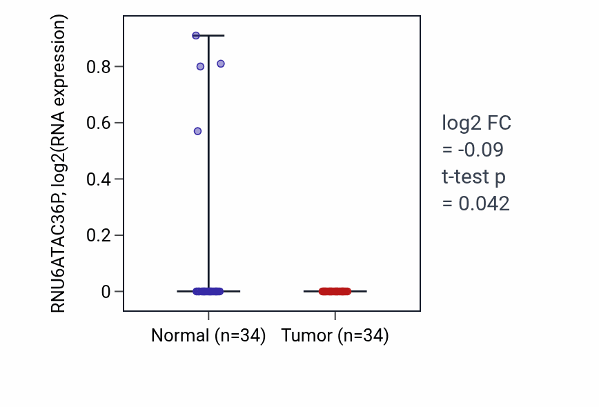 Tumor-vs-normal expression box plot for RNU6ATAC36P in COAD.