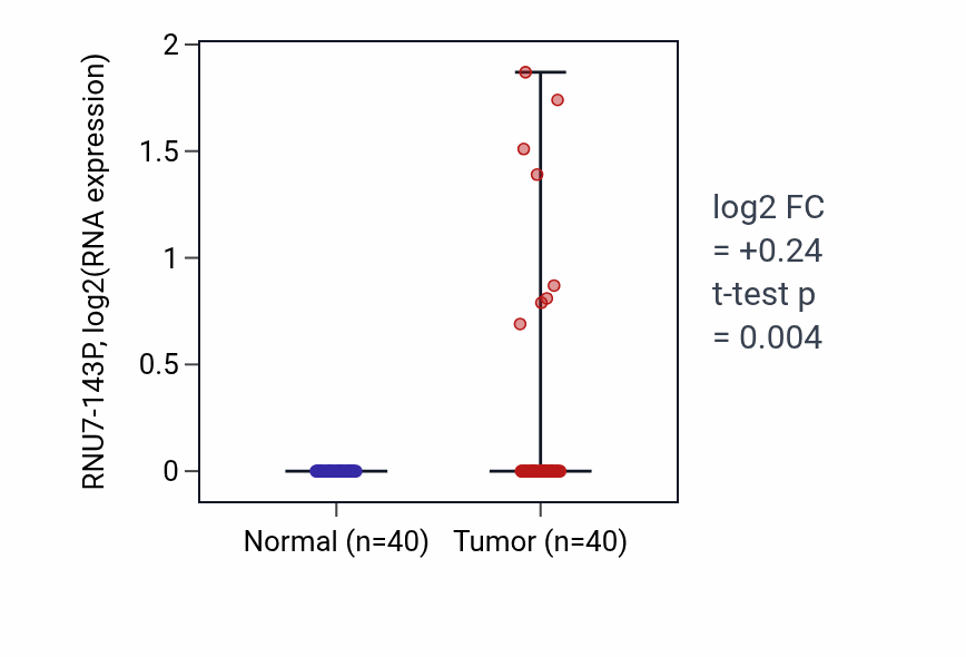 Tumor-vs-normal expression box plot for RNU7-143P in HNSC.