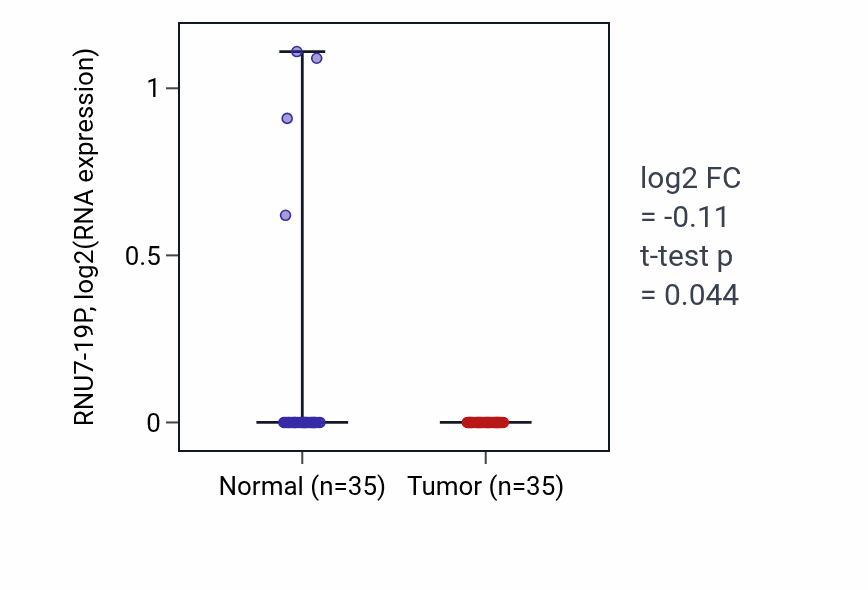 Tumor-vs-normal expression box plot for RNU7-19P in LUSC.