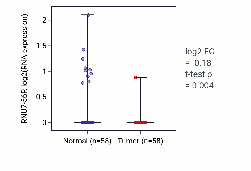 Tumor-vs-normal expression box plot for RNU7-56P in THCA.