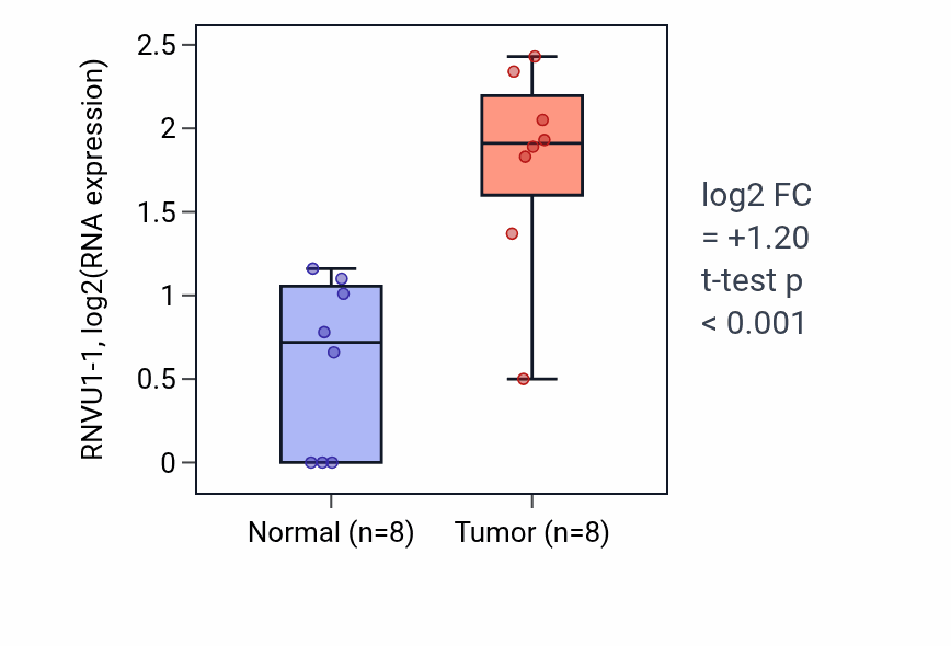 Tumor-vs-normal expression box plot for RNVU1-1 in COAD.