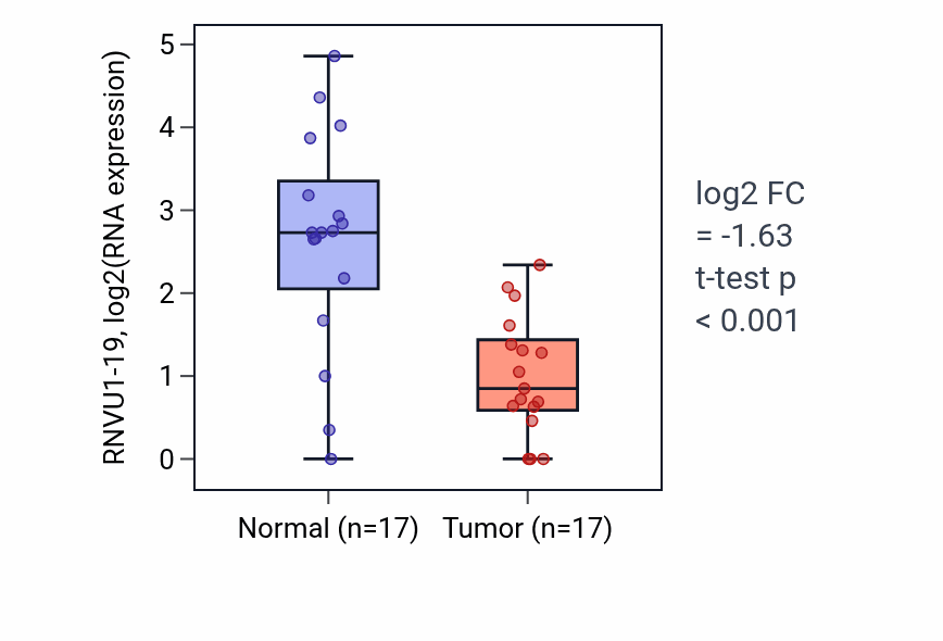 Tumor-vs-normal expression box plot for RNVU1-19 in THCA.
