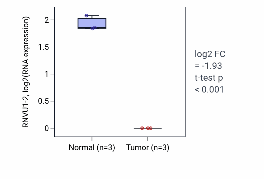 Tumor-vs-normal expression box plot for RNVU1-2 in THCA.