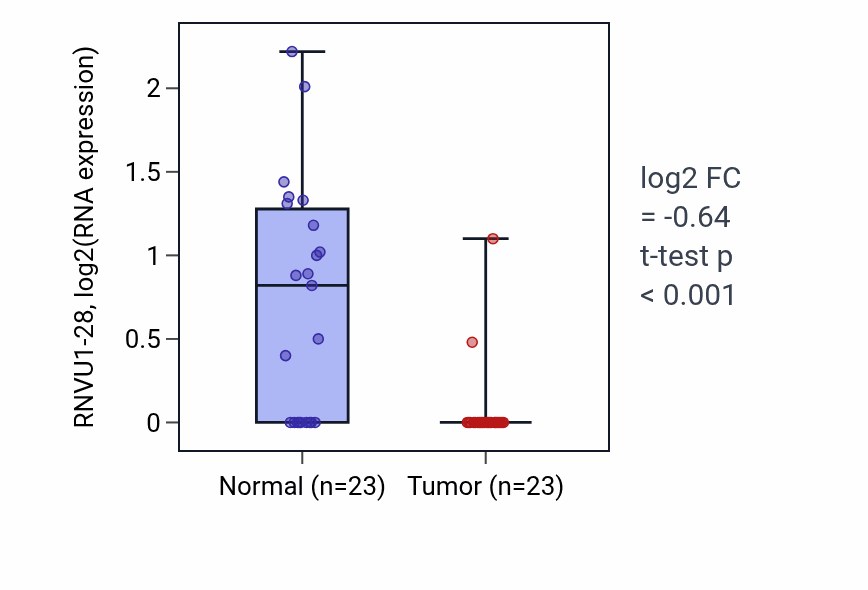 Tumor-vs-normal expression box plot for RNVU1-28 in THCA.